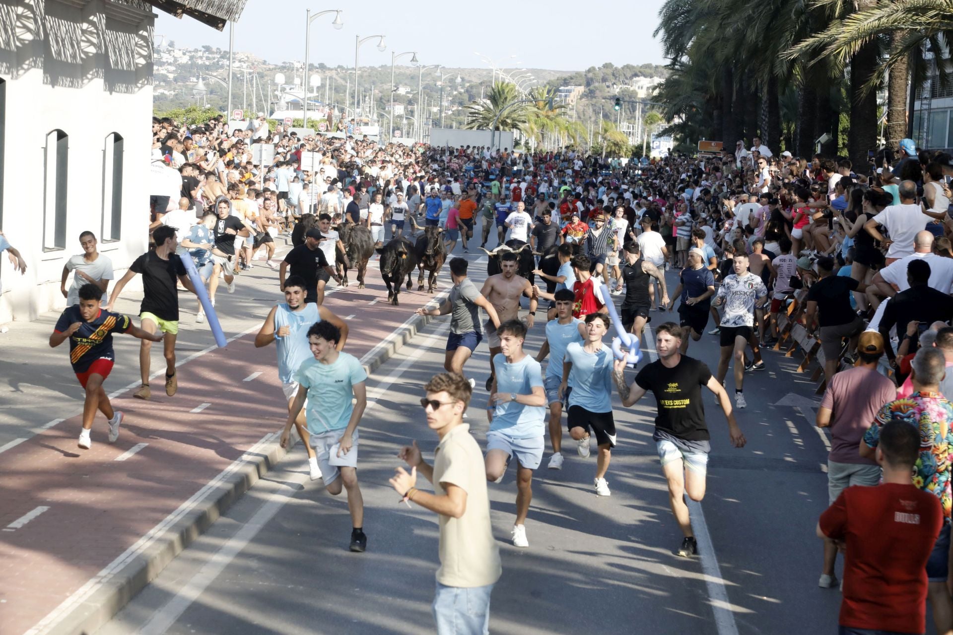 Así ha sido la entrada y primera sesión de &#039;bous a la mar&#039; en Dénia