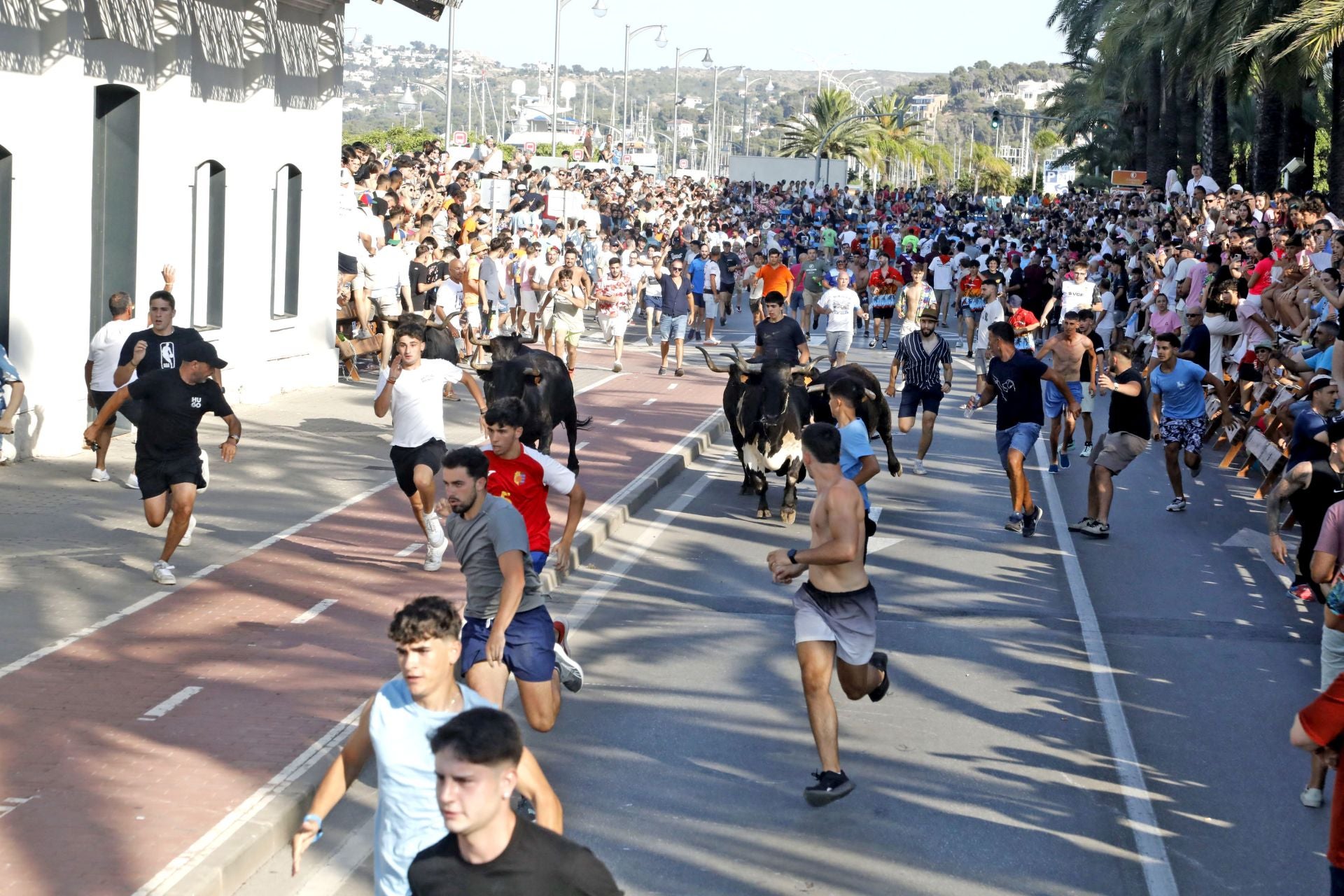 Así ha sido la entrada y primera sesión de &#039;bous a la mar&#039; en Dénia
