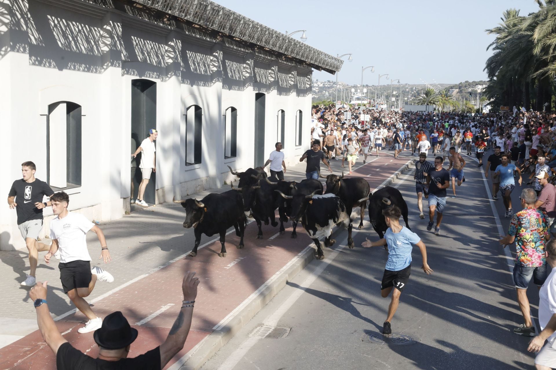 Así ha sido la entrada y primera sesión de &#039;bous a la mar&#039; en Dénia