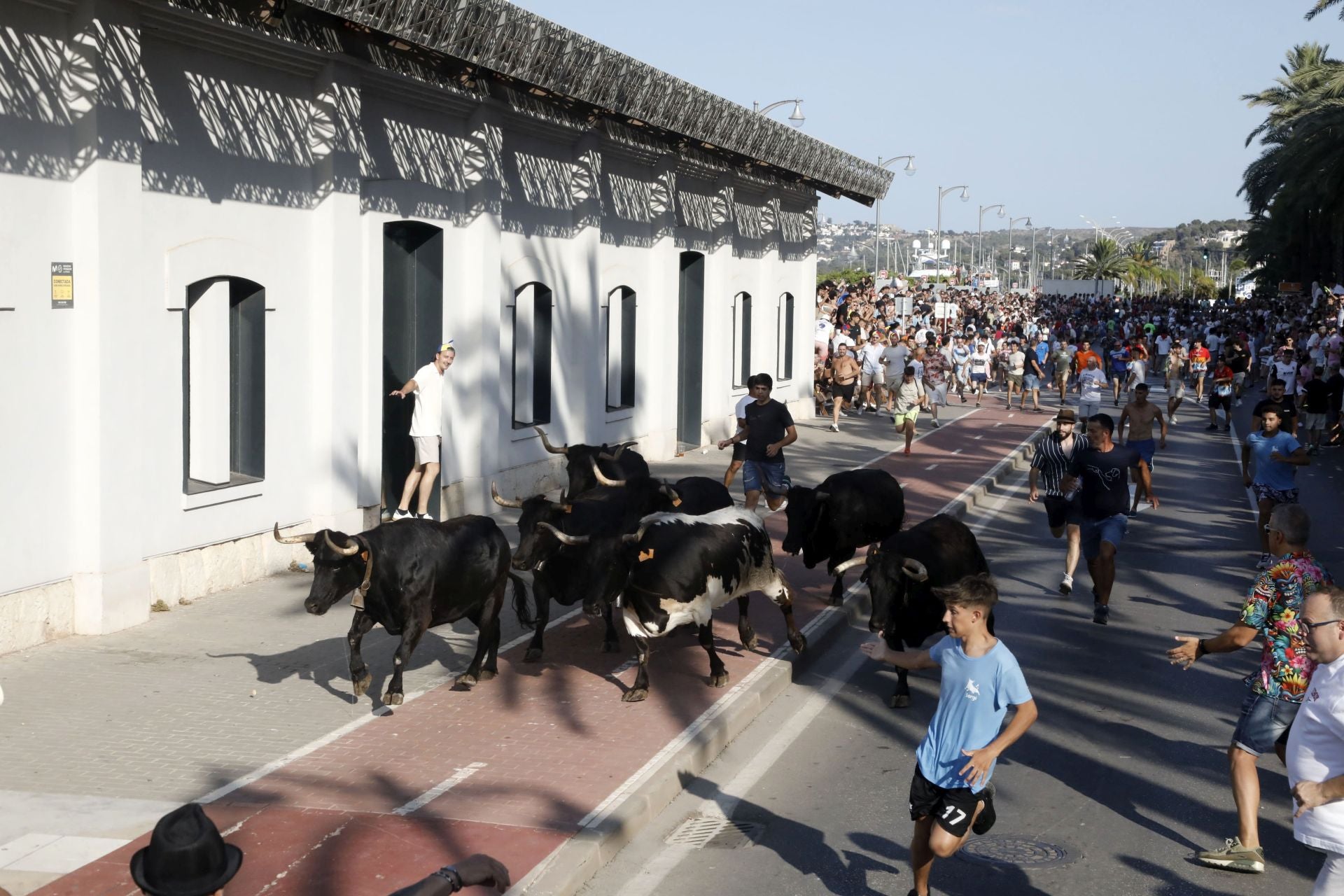 Así ha sido la entrada y primera sesión de &#039;bous a la mar&#039; en Dénia