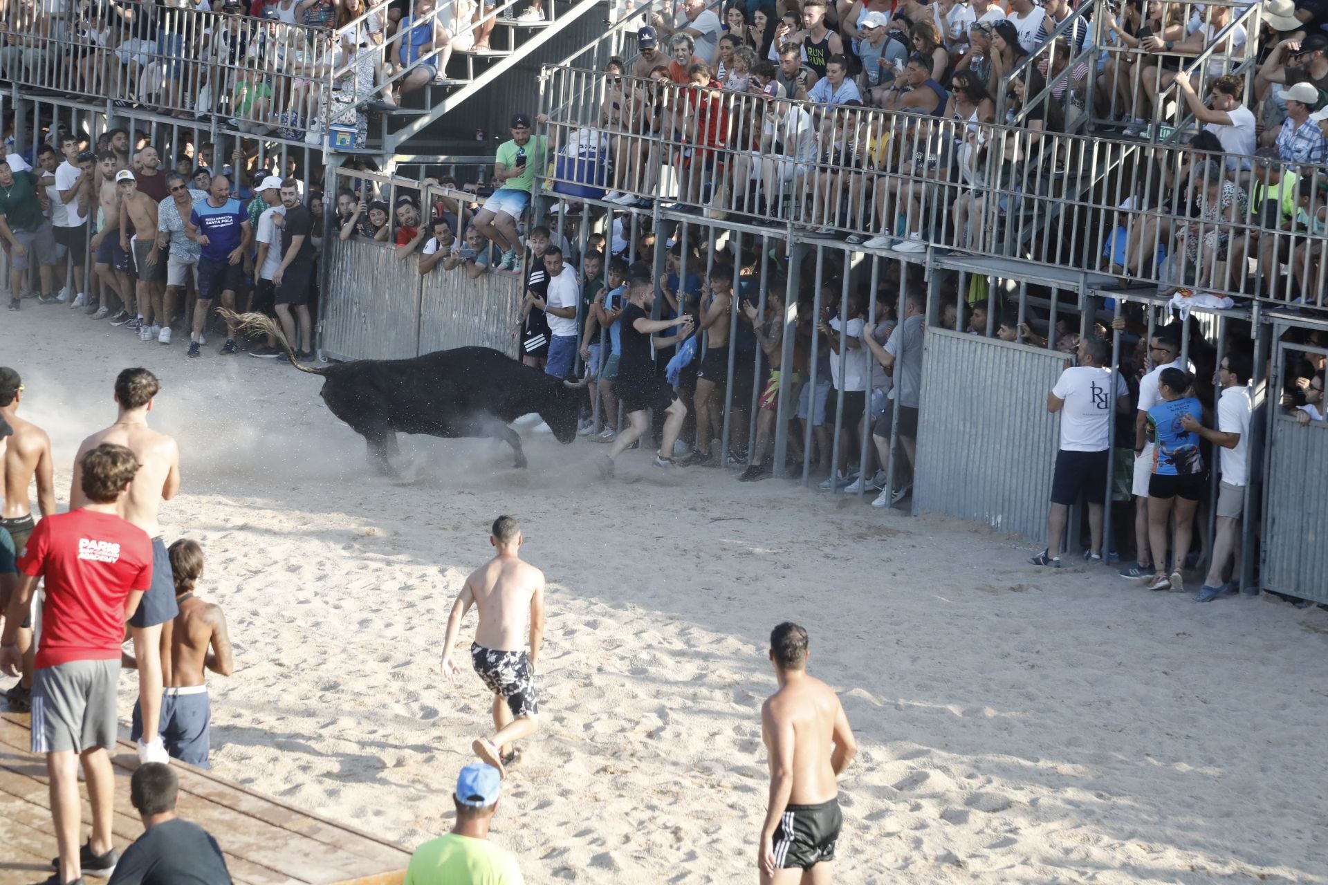 Así ha sido la entrada y primera sesión de &#039;bous a la mar&#039; en Dénia