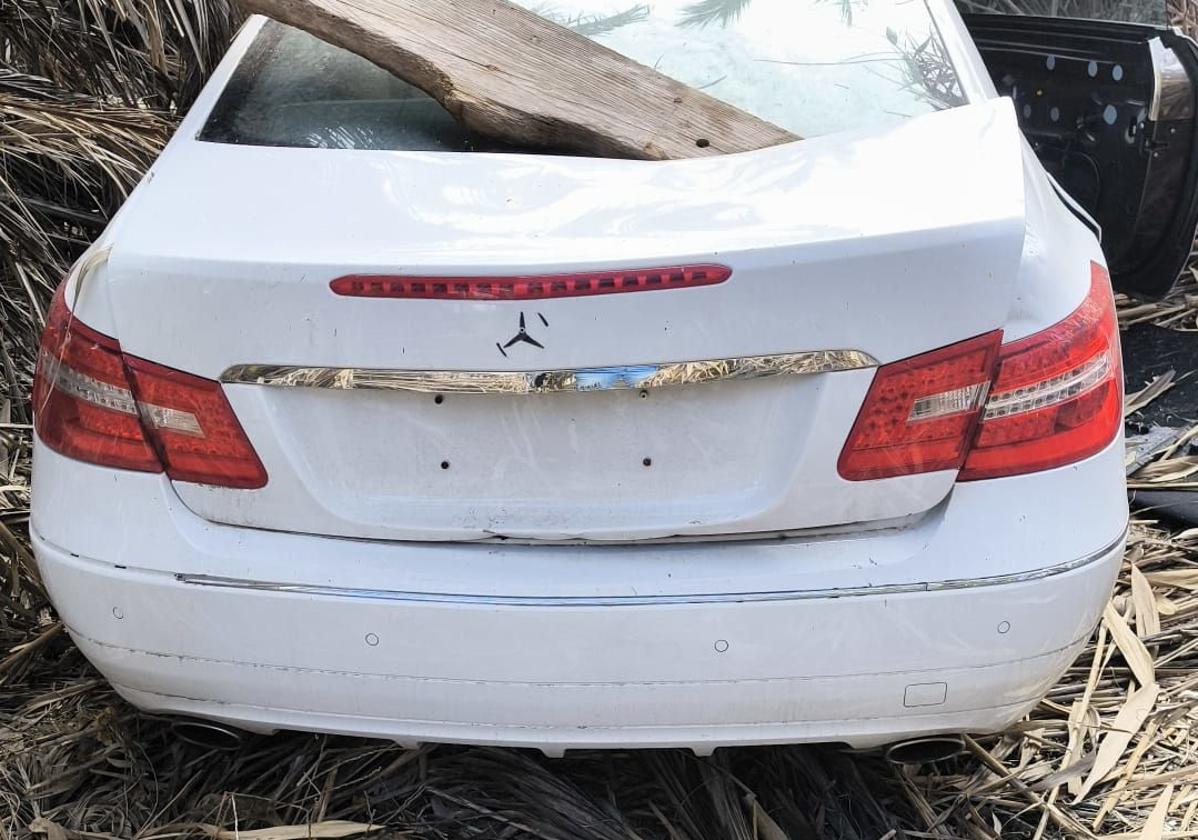 Coche destrozado y escondido