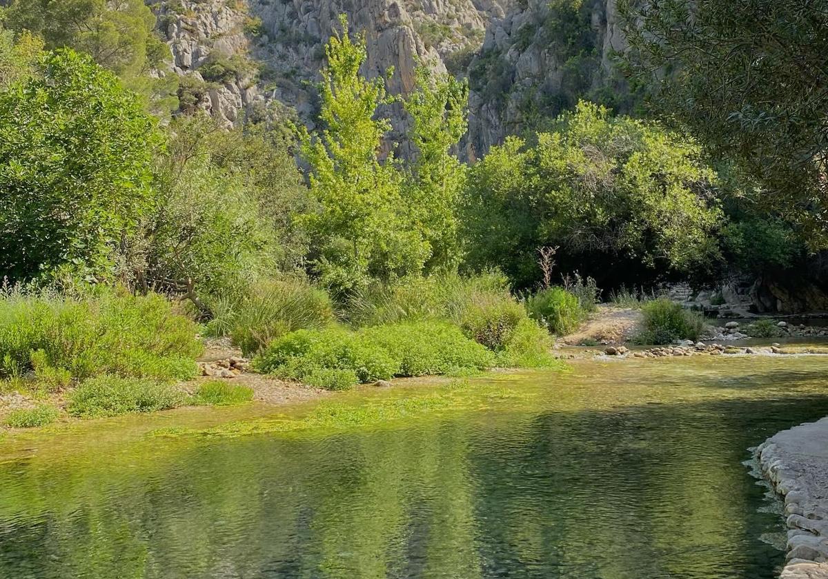 Fonts de l'Algar en Callosa d'en Sarrià.
