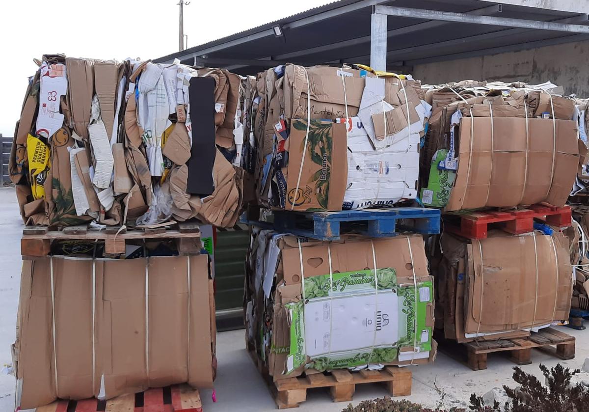 Imagen principal - Imágenes del operativo de limpieza en la isla alicantina.