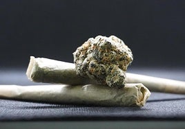 El cannabis es una de las principales sustancias adictivas que consumen los jóvenes alicantinos.