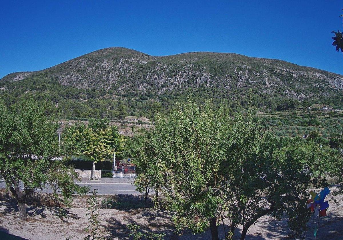 Imagen principal - Este es el municipio más caluroso de Alicante con temperaturas de 37,4 grados