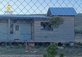 Vivienda tipo 'mobilhome' en una parcela rústica de Camp de Mirra.