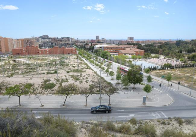 Imagen principal - El PAU 2 estrenará zona verde en 2026