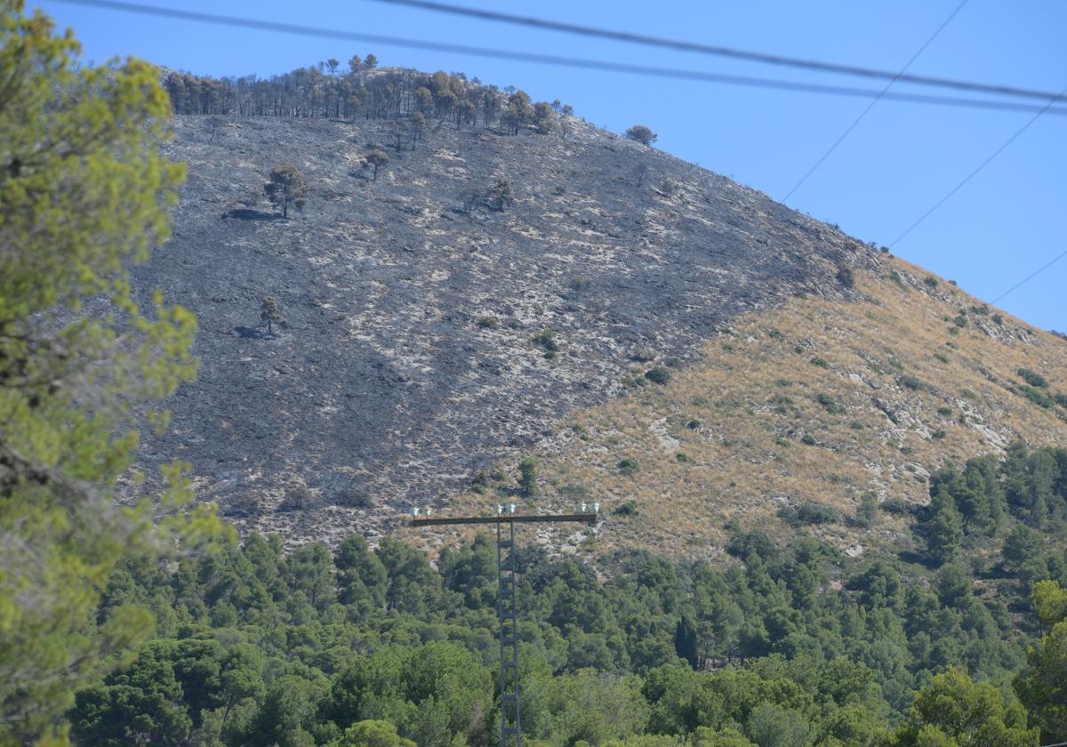 Mountains burned by the Ibi fire.