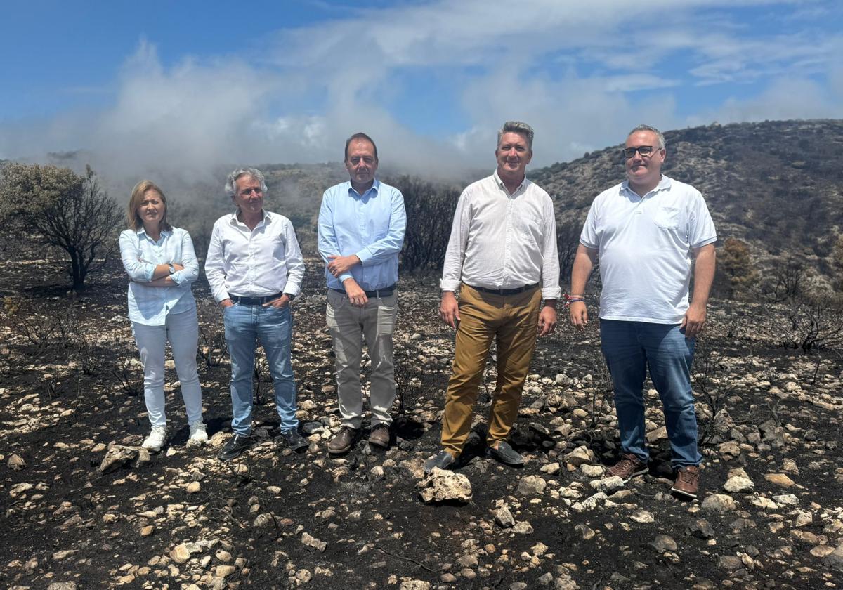 The mayor of Ibi and the Environment Minister, first and second from the right, in the charred lands of Font Roja.