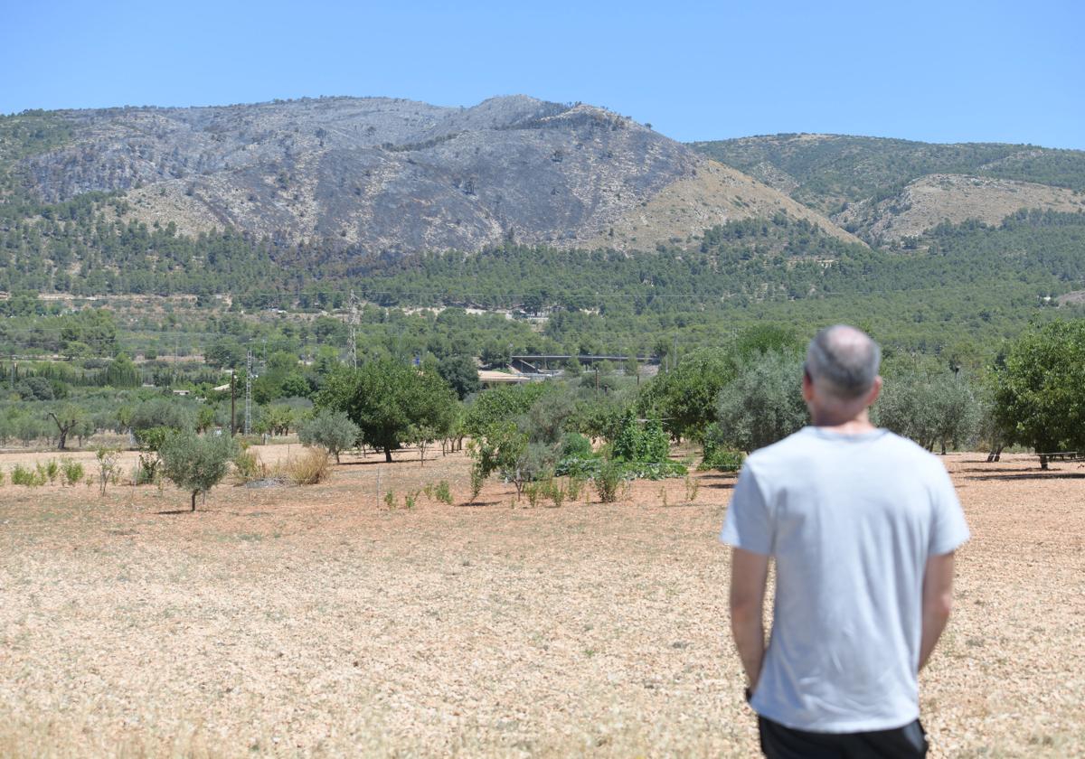 The fire ravaged nearly 150 hectares of the Font Roja natural park.