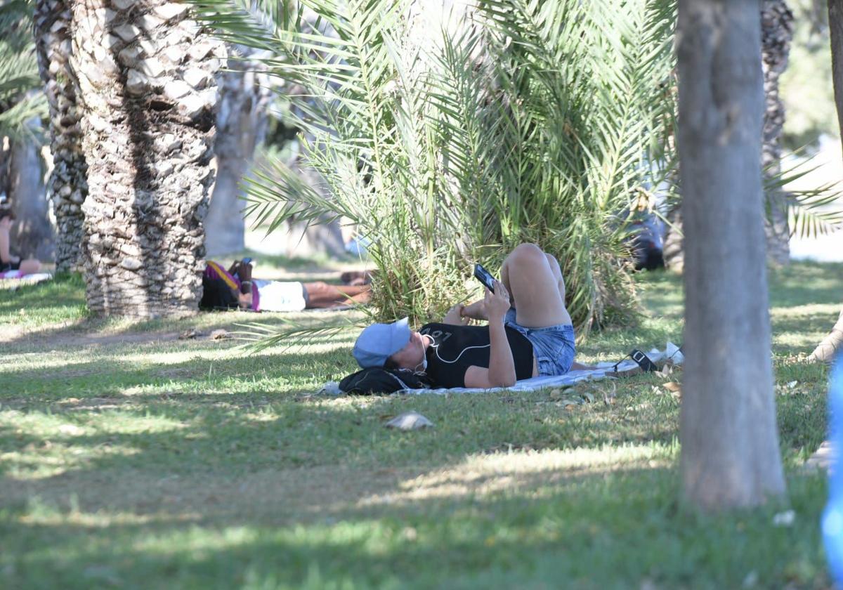 Transeunte se refugia en la sombre frente a la Playa del Postiguet.