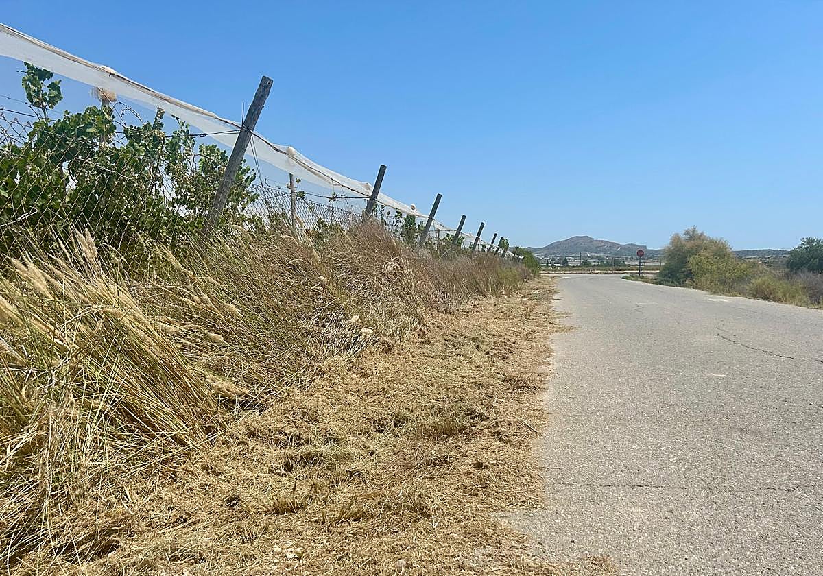 Camino en el que se realizarán las tareas de desbroce