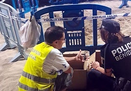 Imagen del momento de la recogida de los ejemplares en plena playa de Levante