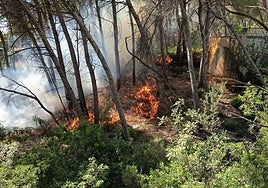 Imágenes del incendio declarado este domingo en Xàbia.