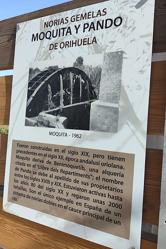 La concejala de Agricultura, Noelia Grao, ha señalado que en las próximas semanas se dispondrá de un documento técnico que permitirá ejecutar un plan de actuación específico.
