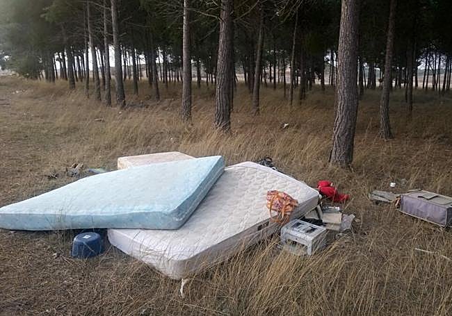 Enseres abandonados en un camino del municipio.