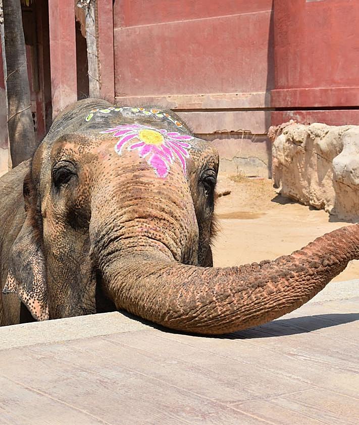 Imagen secundaria 2 - Ceremonia e Terra Natura. 