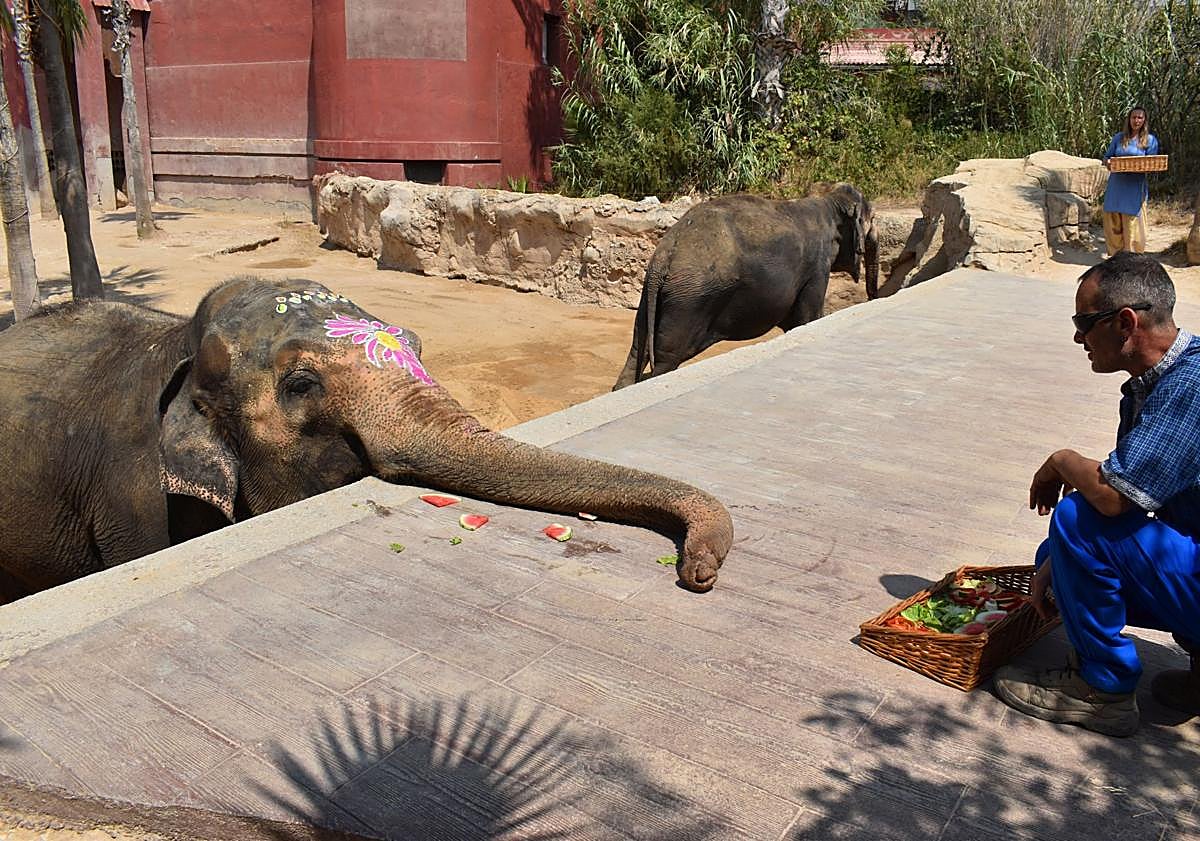 Imagen principal - Ceremonia e Terra Natura. 