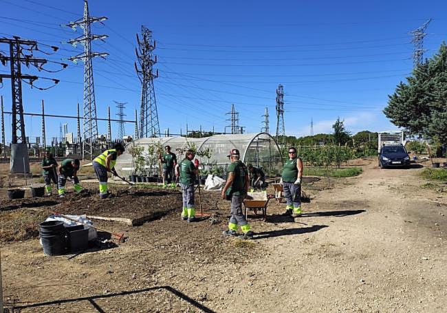 Los alumnos realizan prácticas.