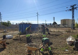 Los alumnos realizan prácticas.