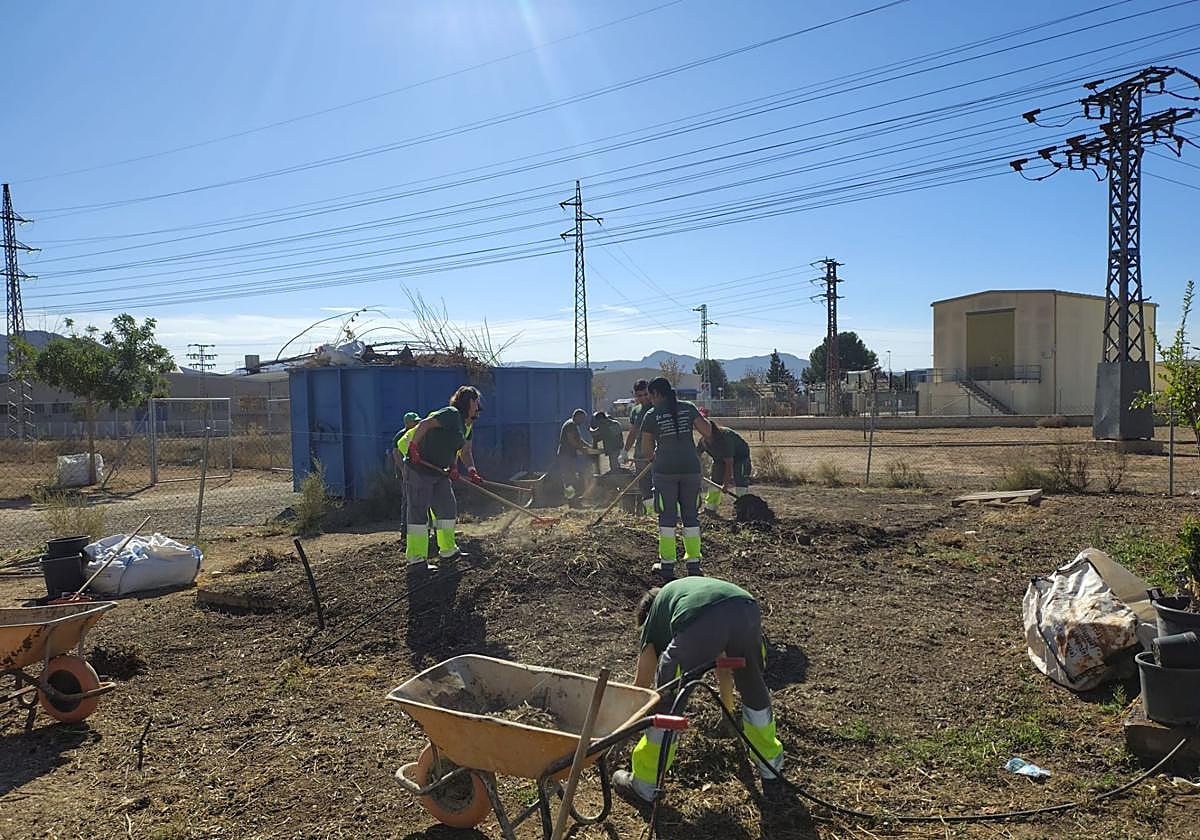 Los alumnos realizan prácticas.