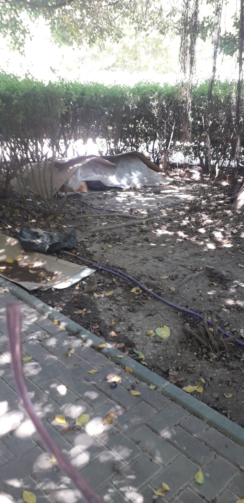 'Campamento' de una persona sin hogar en el parque.