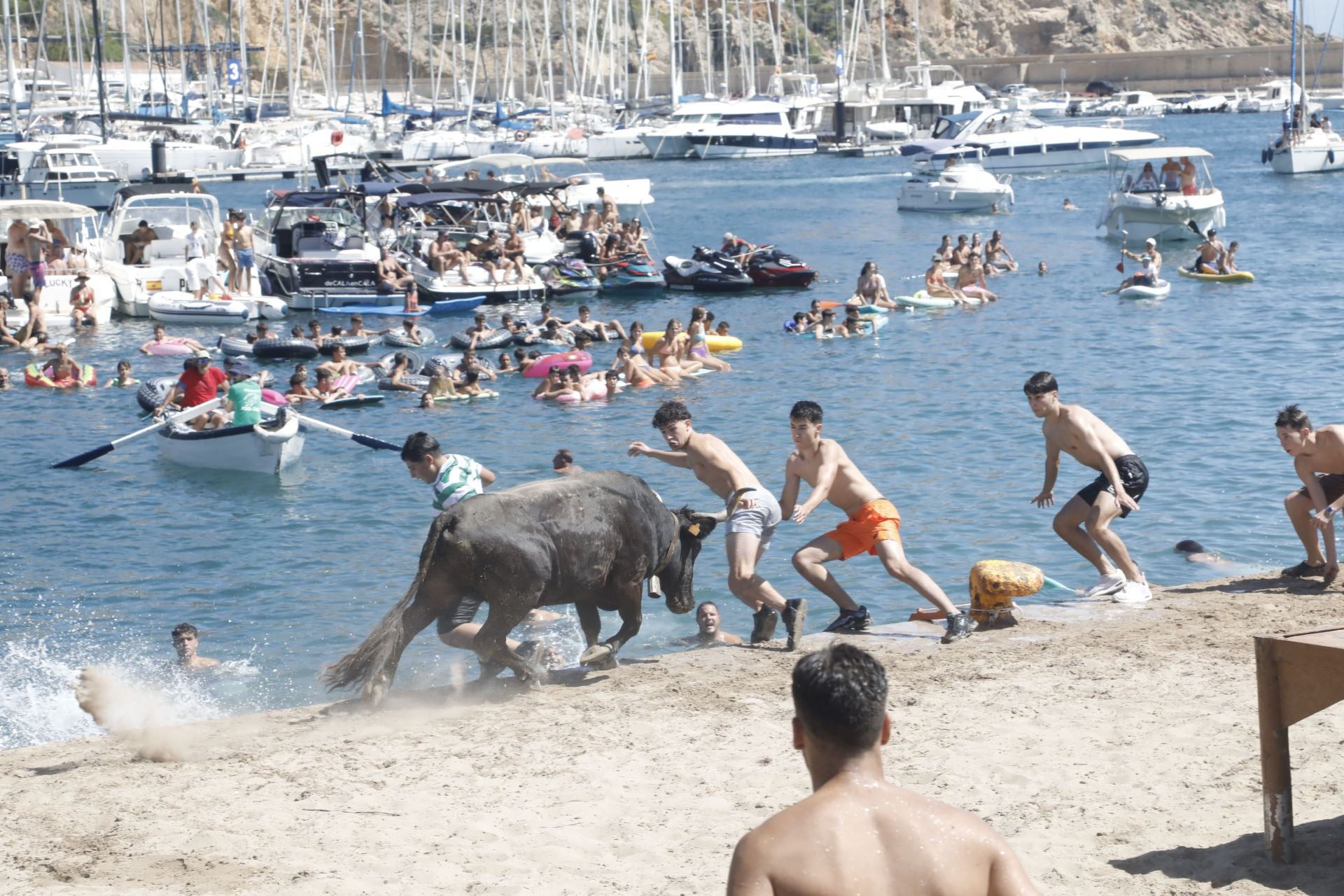 Xàbia celebra els bous a la mar