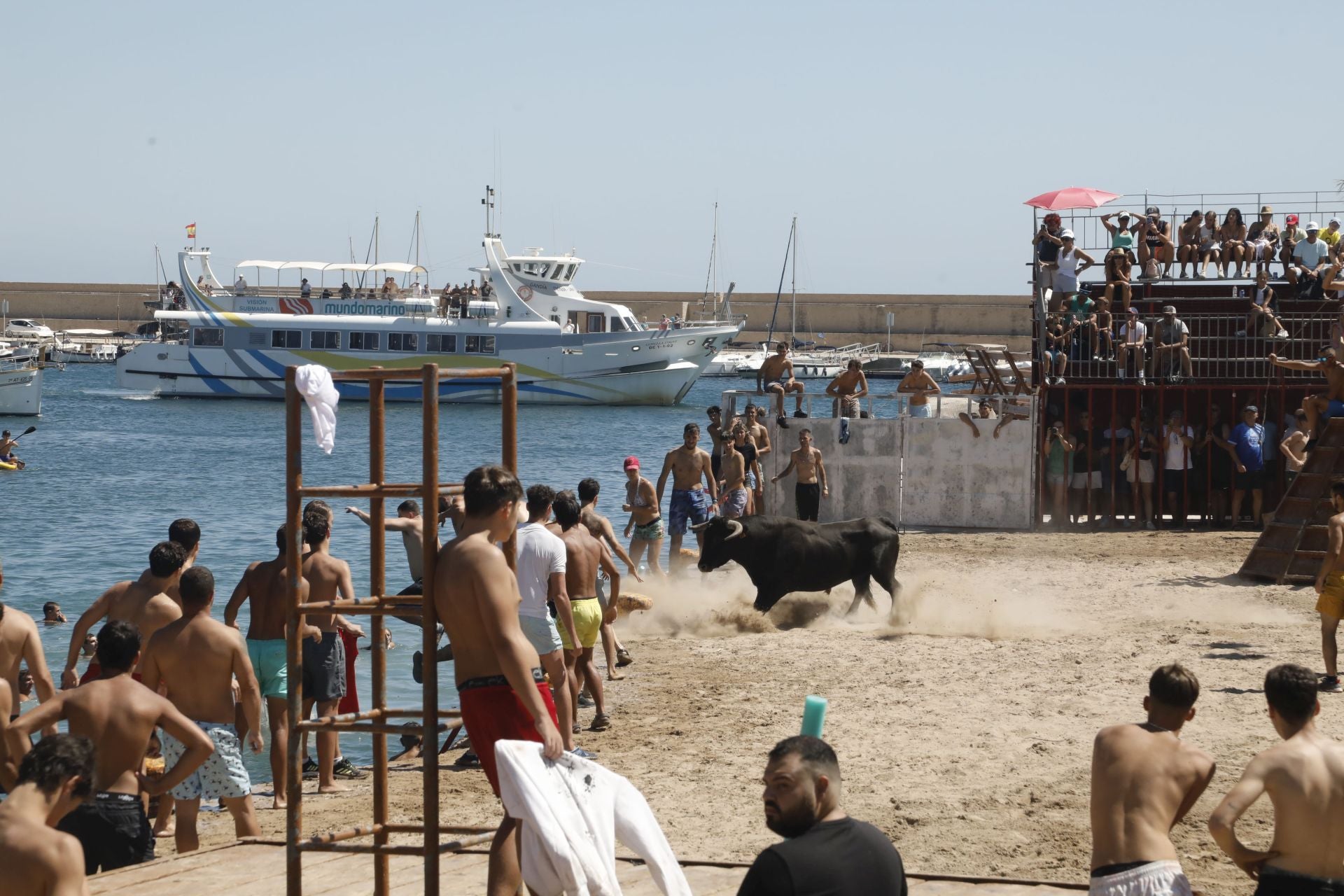 Xàbia celebra els bous a la mar