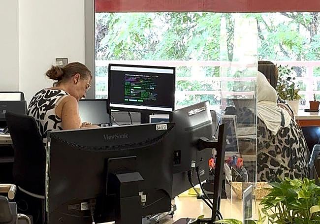 El alcalde de Elche, Pablo Ruz, ha informado de la reapertura progresiva de las oficinas OMAC tras el ciberataque.