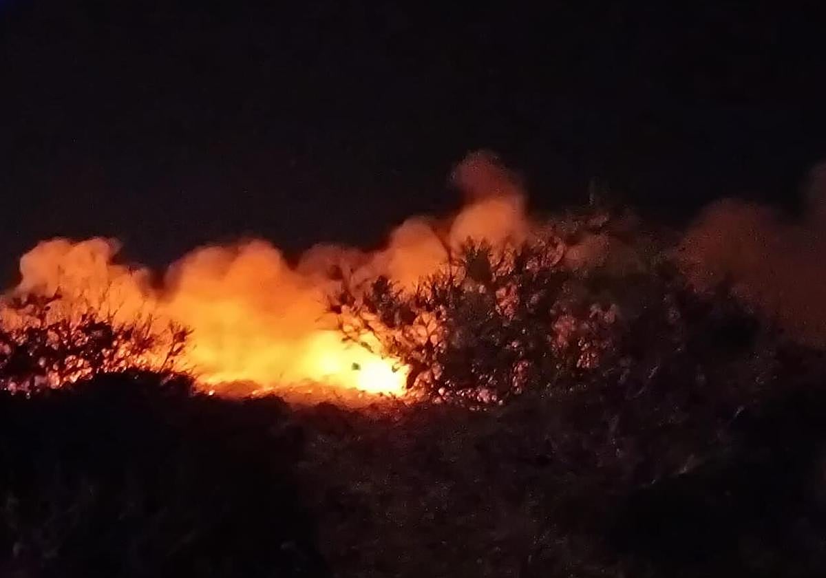 Imagen del incendio en Guardamar.