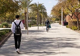 Nuevos estudiantes de la UMH se incorporarán a las aulas el lunes en los cuatro campus.