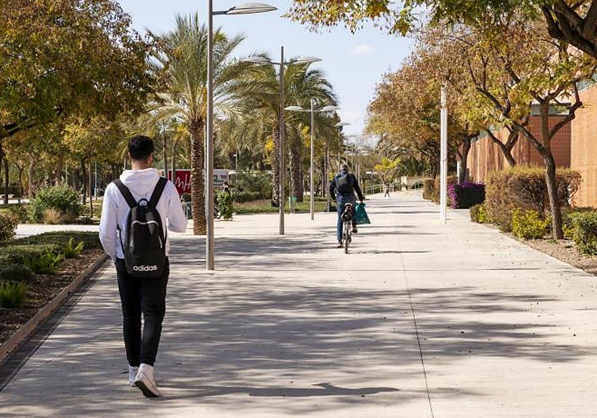 Nuevos estudiantes de la UMH se incorporarán a las aulas el lunes en los cuatro campus.