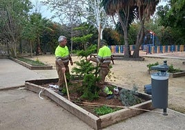 Acción de renaturalización en un colegio de Alicante.