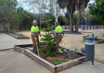Patios más verdes en Alicante para la vuelta al cole