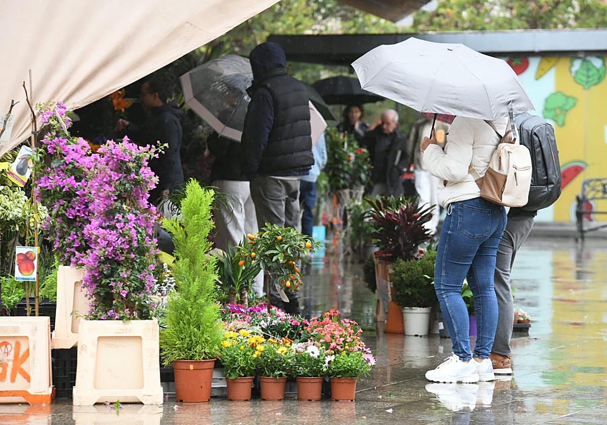 Una mujer bajo la lluvia, en los puestos de flores del Mercado Central de Alicante, en imagen de archivo.