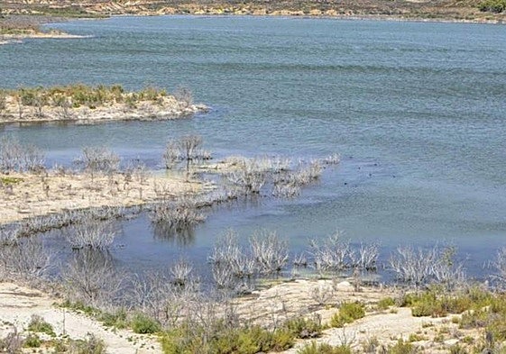 Embalse de Santomera, en imagen de archivo.