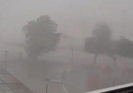 Reventón húmedo en Callosa de Segura.