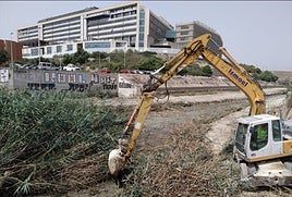 Tareas de limpieza de los barrancos.