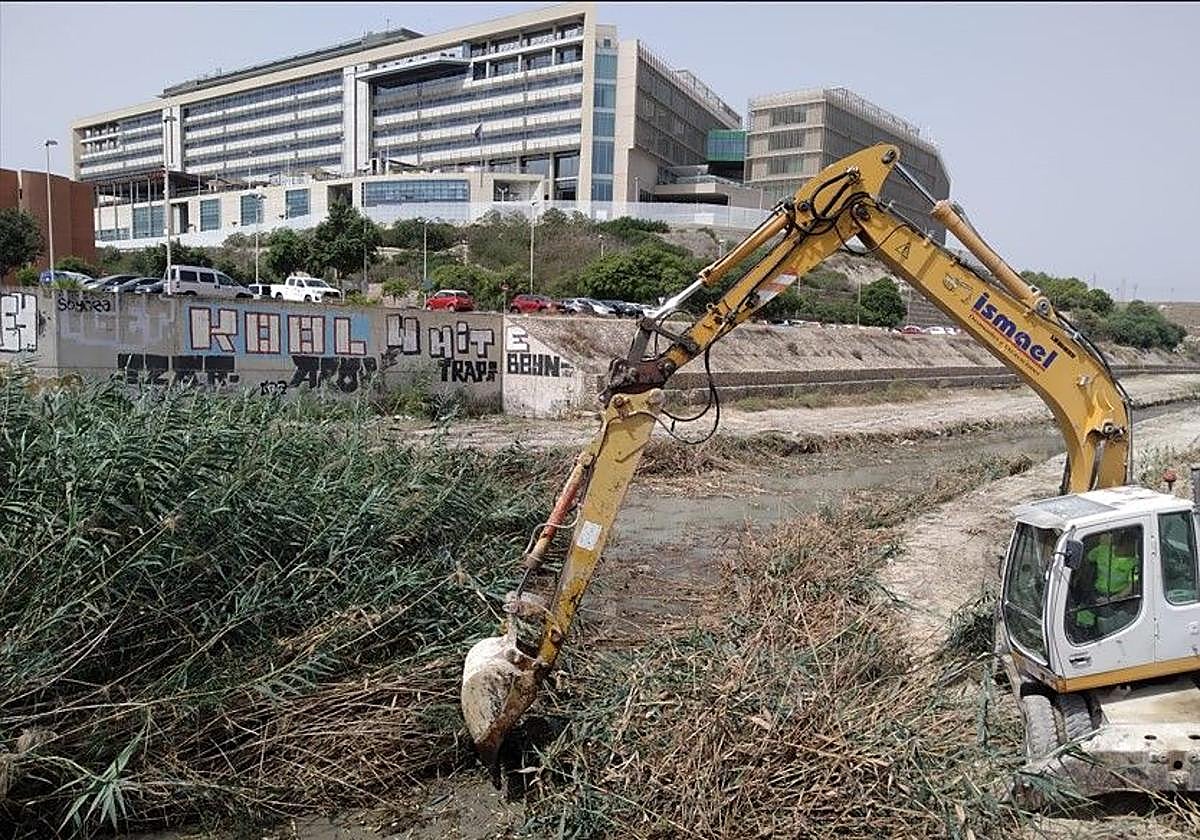 Tareas de limpieza de los barrancos.