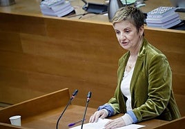 La consellera interviene en Les Corts.