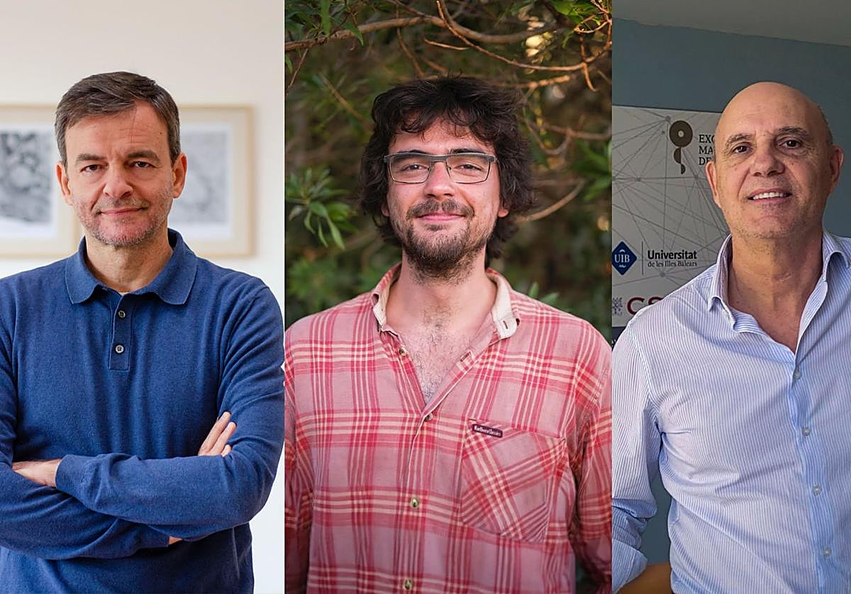 Los docentes responsables del proyecto llevado a cabo en el Instituto de Neurociencias de la UMH de Elche.