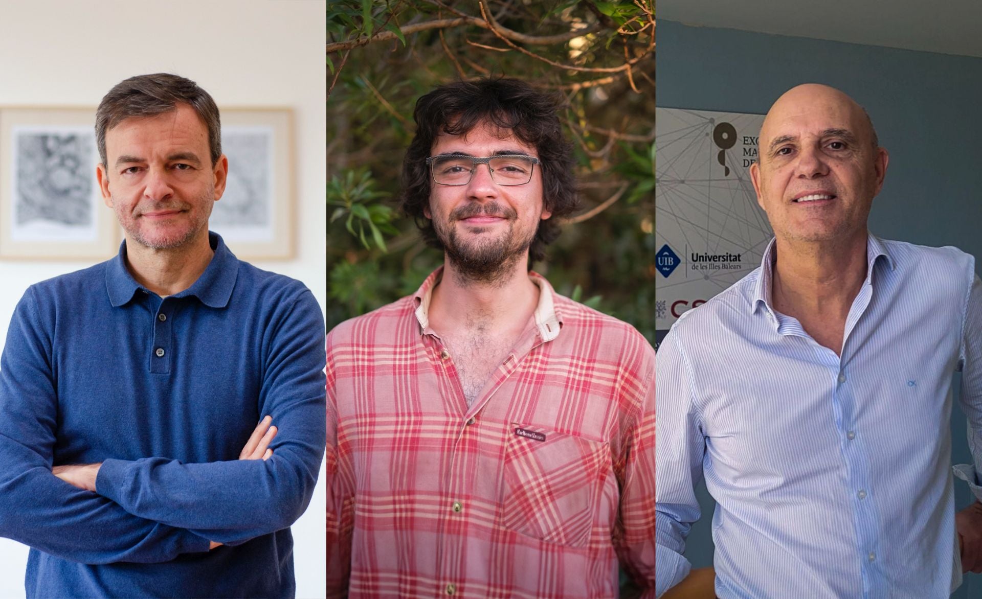 Un estudio de Neurociencias de la UMH revela que los ritmos cerebrales determinan las rutas de procesamiento de la información