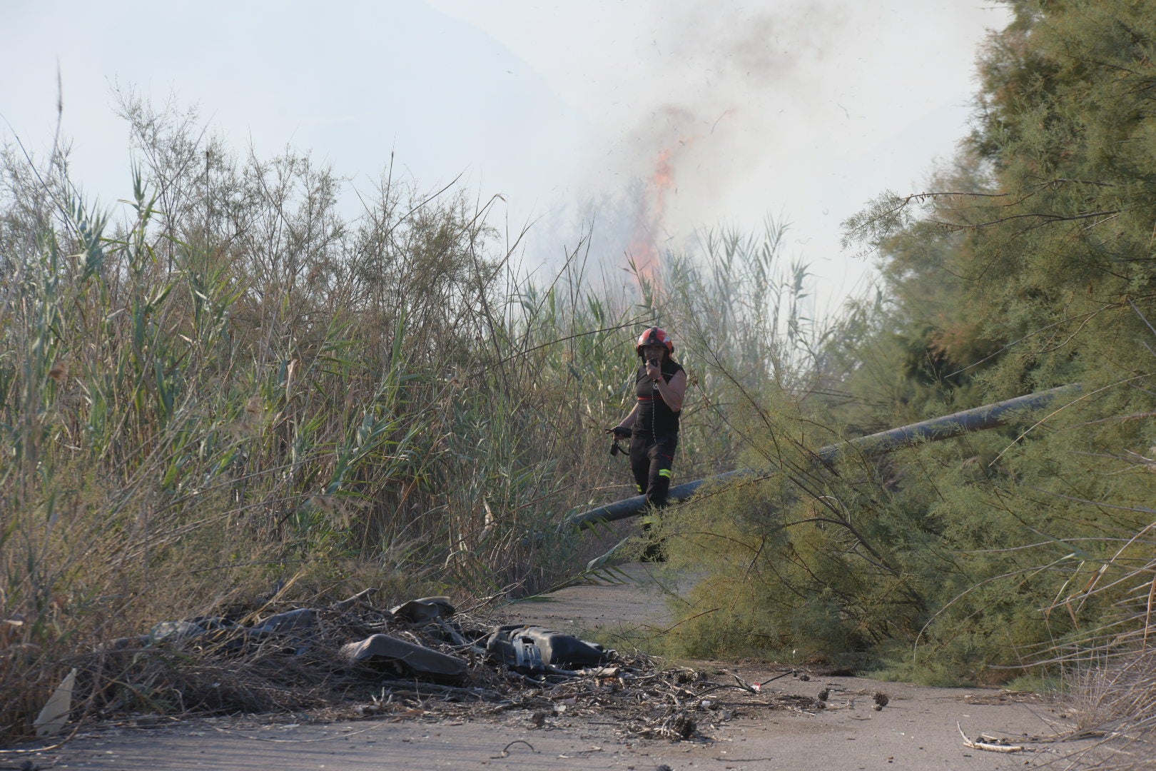 El incendio forestal de Alicante, en imágenes