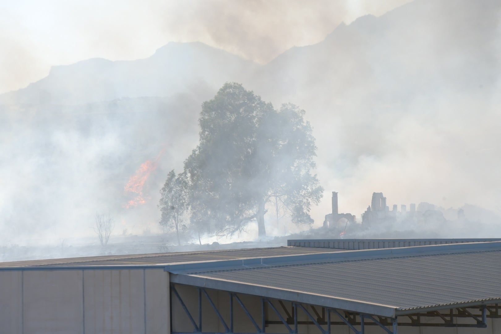 El incendio forestal de Alicante, en imágenes
