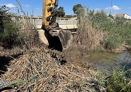 Las máquinas retiran las cañas y el lodo acumulado.