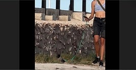 El insólito vídeo de una joven paseando una paloma en Torrevieja que se ha vuelto viral.