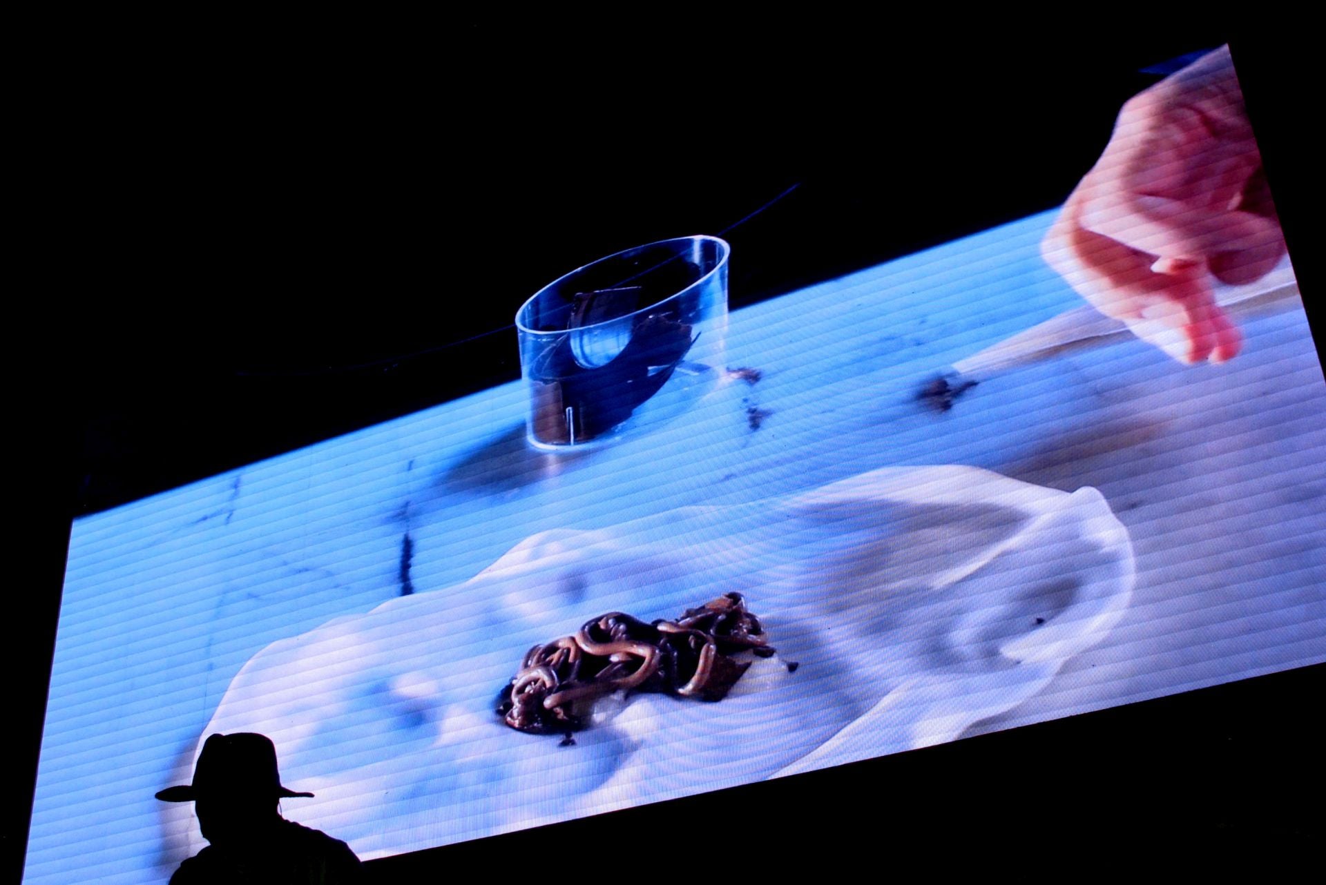 Cocina con estilo y mediterránea en el D*NA Festival de Dénia