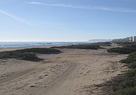 Zona de dunas en Agua Amarga.