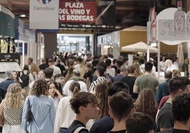 Contenedores y bolsas específicas permitirán separar y reciclar los restos orgánicos durante Alicante Gastronómica.